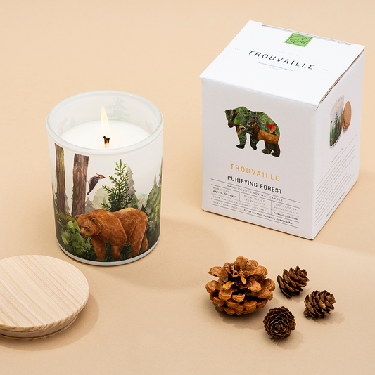 Candle with bear design, packaging, and pinecones on a beige background