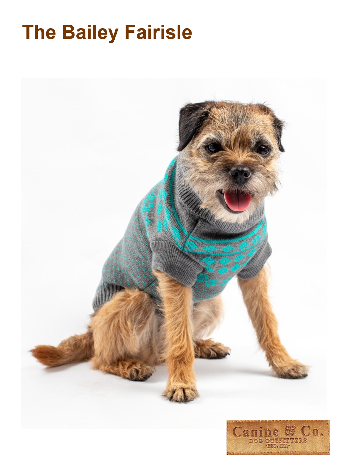 Dog wearing a gray and teal sweater with 'Canine & Co' branding on a white background.