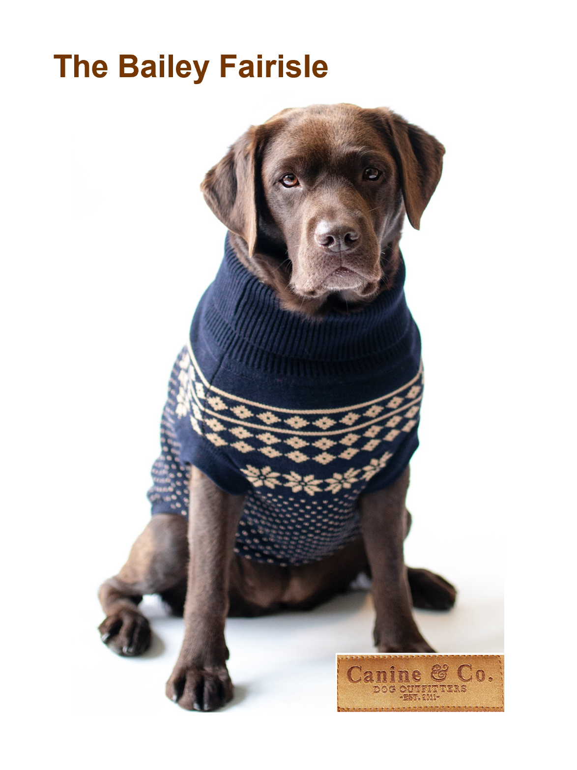 Dog wearing a navy sweater with white patterns on a white background, featuring 'Canine & Co.' brand.