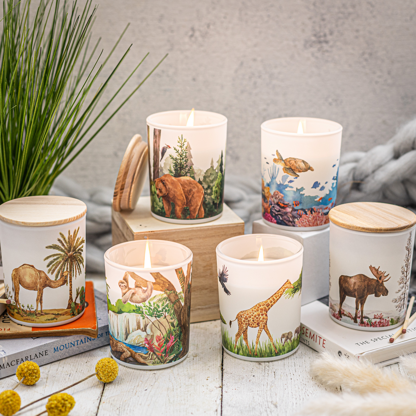 Set of candles with animal illustrations on a wooden surface