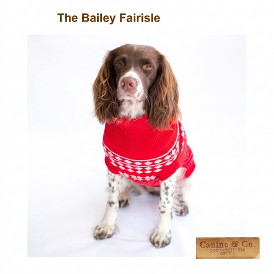 Dog wearing a red sweater with white patterns on a white background, featuring 'The Bailey Fairisle' text.